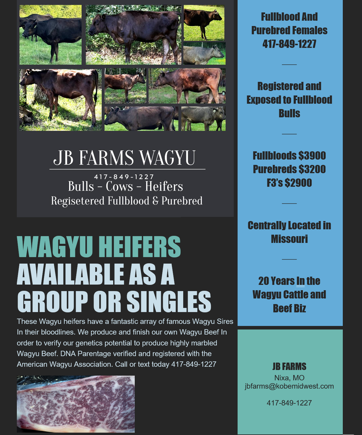 9 Registered Wagyu Heifers Available in Missouri